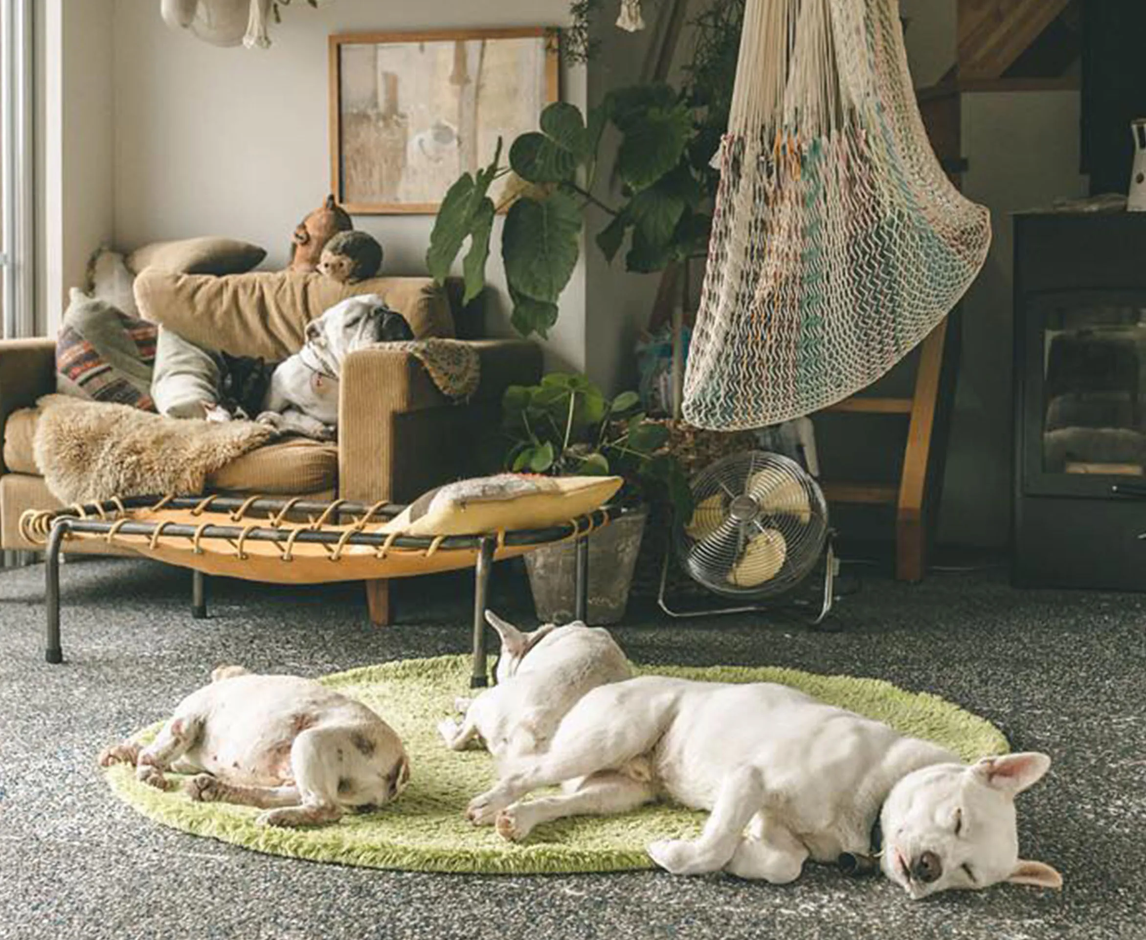 kvイメージ画像